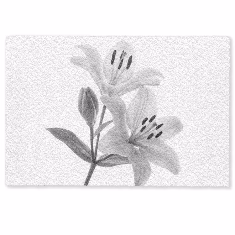 Deurmat - Lelies - Elegant - Zwart - Wit — 1