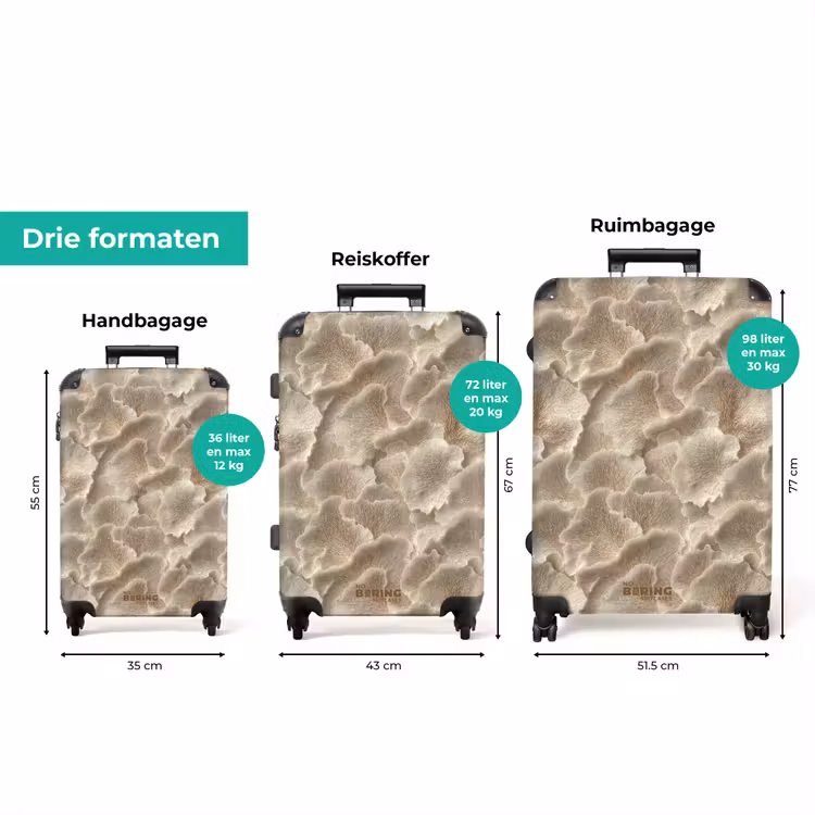 Koffer - Waaierstructuren - Beige - Vezeltextuur — 8