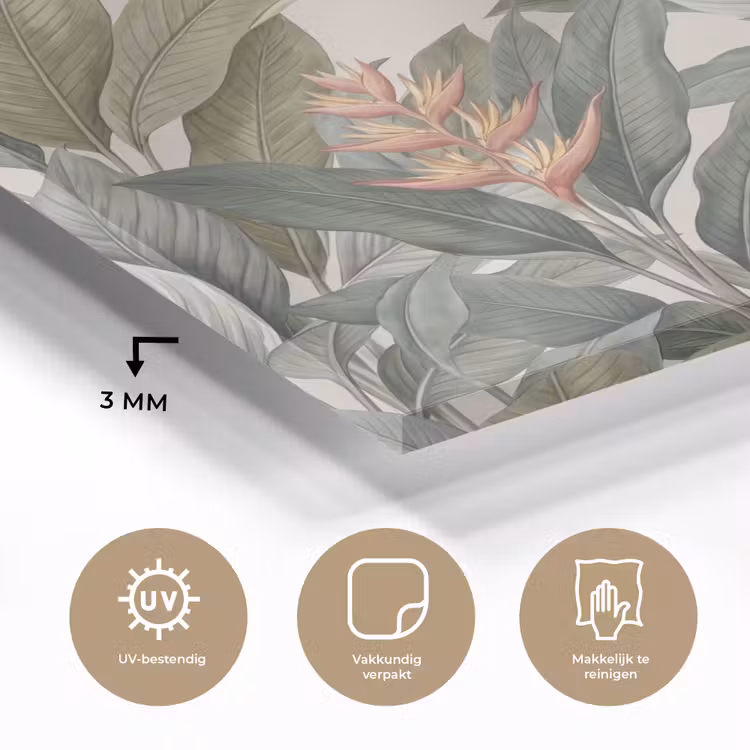 Glas schilderij - Tropisch - Planten - Modern - Groen — 3