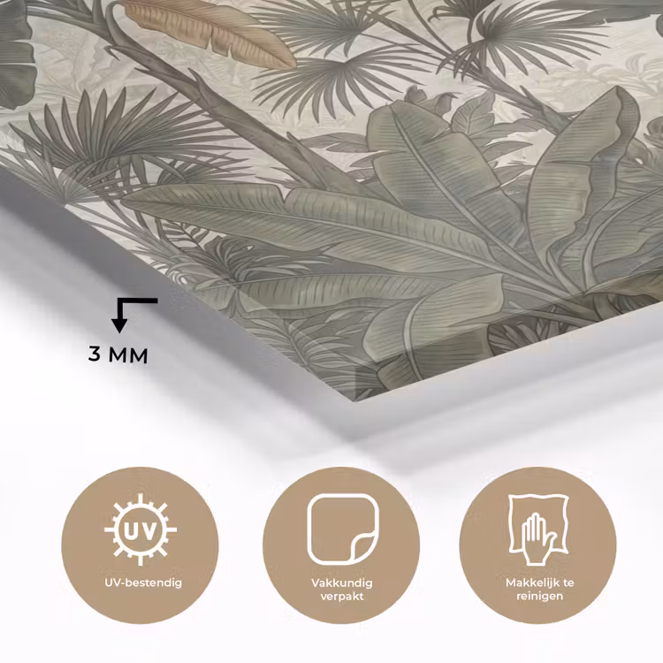 Glas schilderij - Papagaaien - Jungle - Tropisch - Green — 3