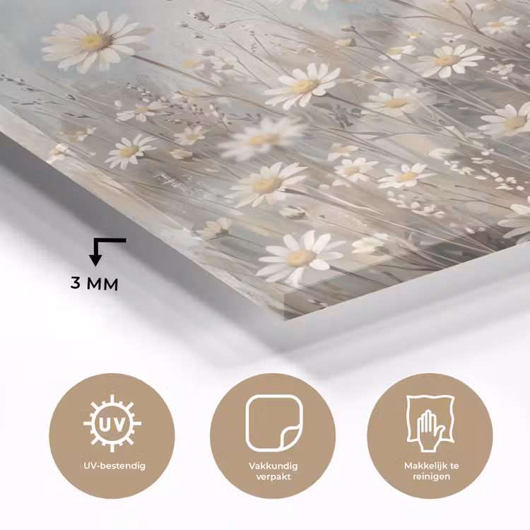 Glas schilderij - Madelief - Illustratie - Wit — 3