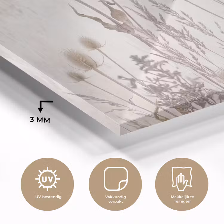 Glas schilderij - Weidebloemen - Design - Sepia — 3