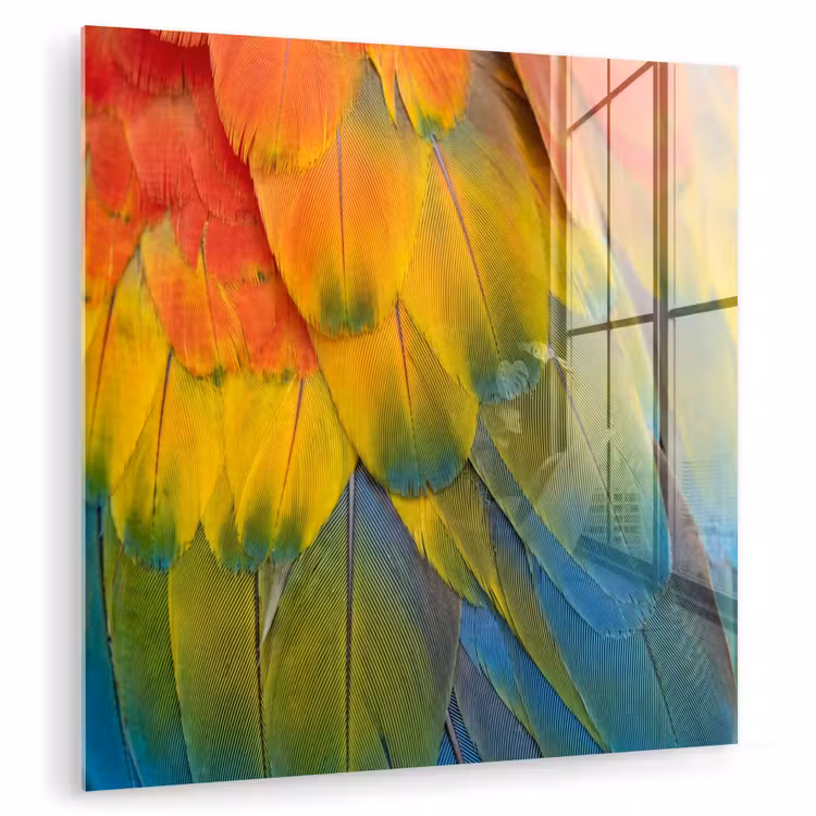 Glas schilderij - Veren - Ara - Kleurrijk — 1