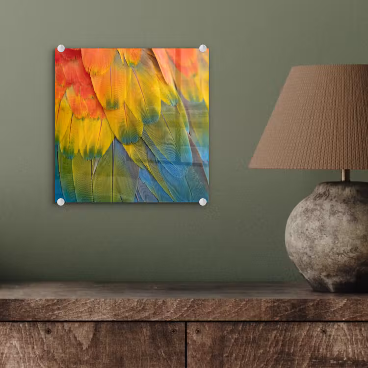 Glas schilderij - Veren - Ara - Kleurrijk — 4