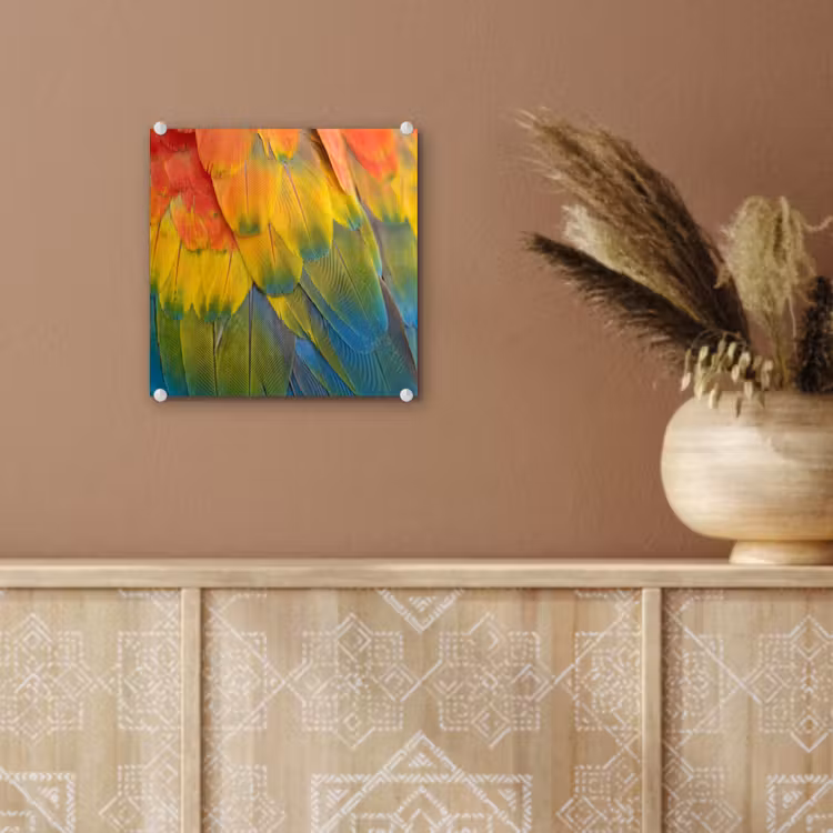 Glas schilderij - Veren - Ara - Kleurrijk — 6