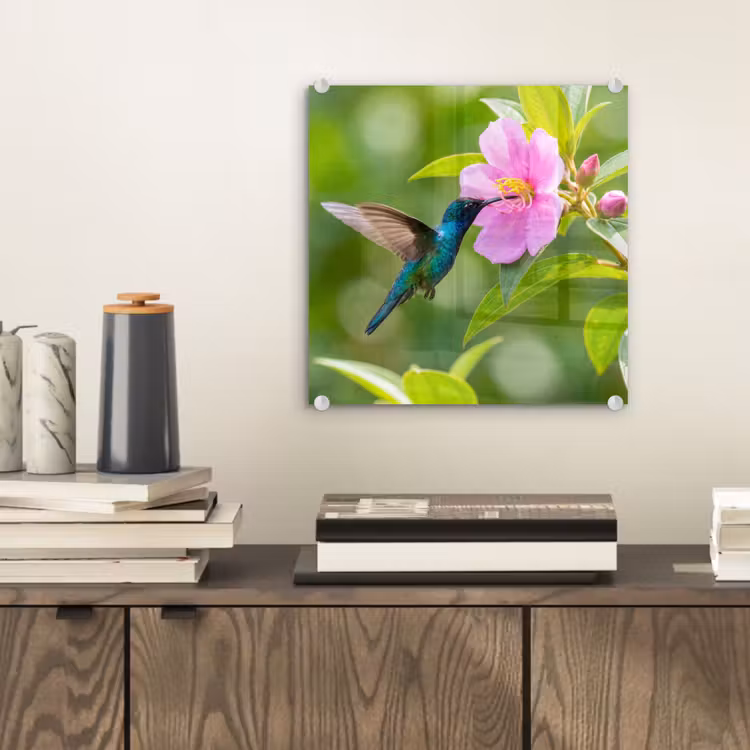 Glas schilderij - Kolibrie - Bloem - Natuur - Groen — 2