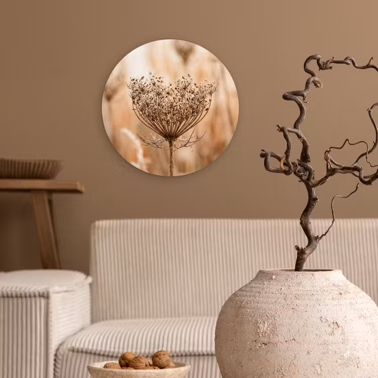 Muurcirkel - Schermbloem - Droogbloem - Winter - Beige - Minimalistisch — 2
