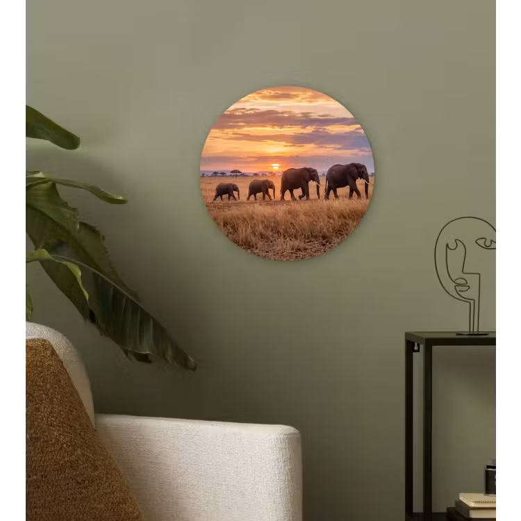 Muurcirkel - Olifanten - Savanne - Zonsondergang - Afrika - Warm — 3