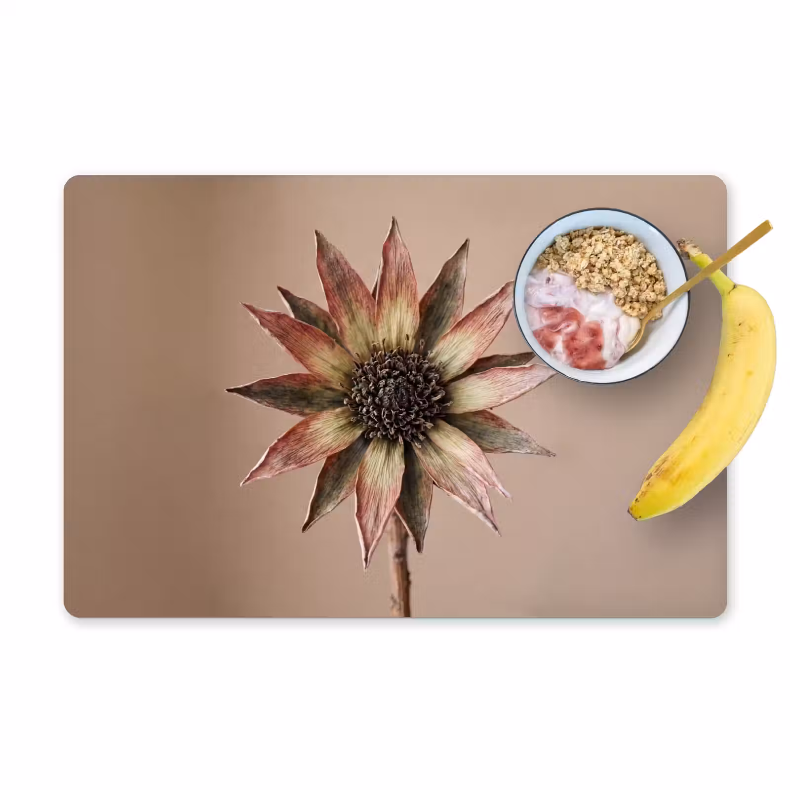 Placemat - 6 stuks - Droogbloem - Protea - Vintage - Beige - Rustiek — 1
