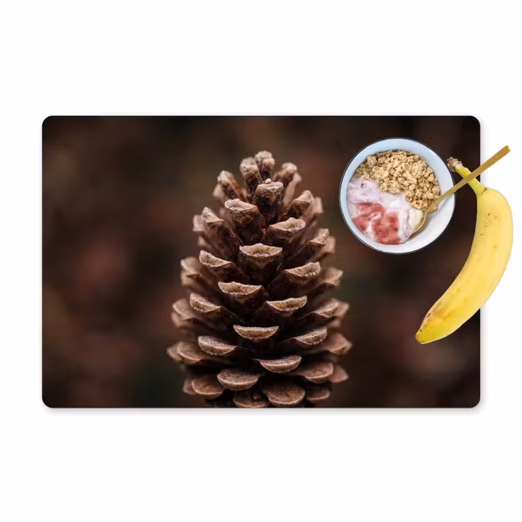Placemat - 6 stuks - Dennenappel - Bos - Herfst - Bruin - Sfeervol