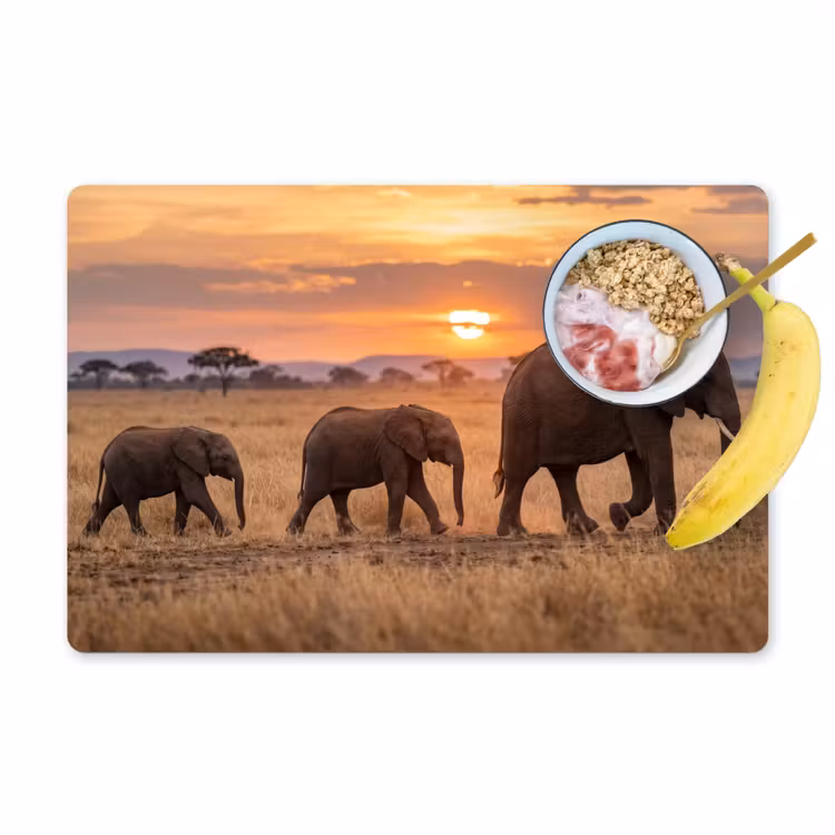 Placemat - 6 stuks - Olifanten - Savanne - Zonsondergang - Afrika - Warm