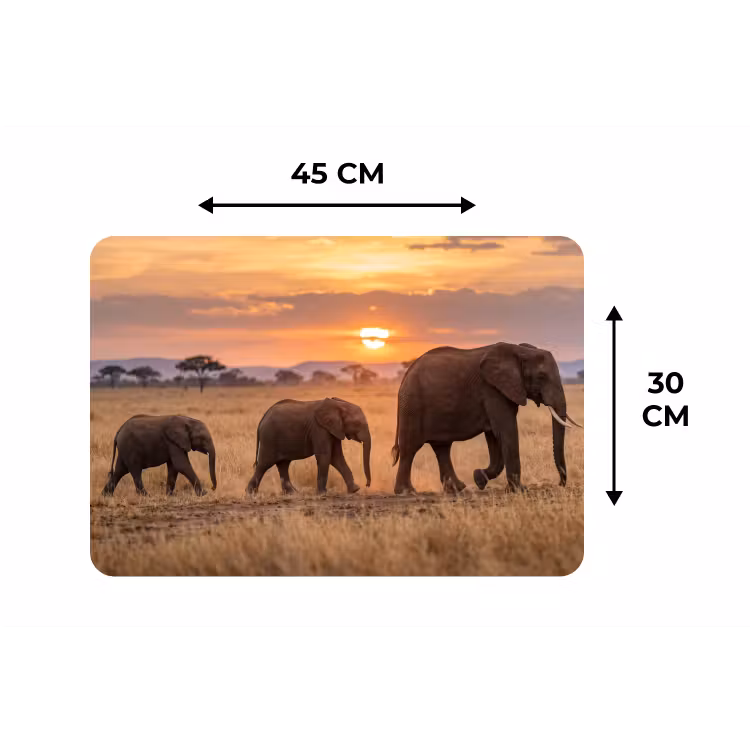 Placemat - 6 stuks - Olifanten - Savanne - Zonsondergang - Afrika - Warm — 3