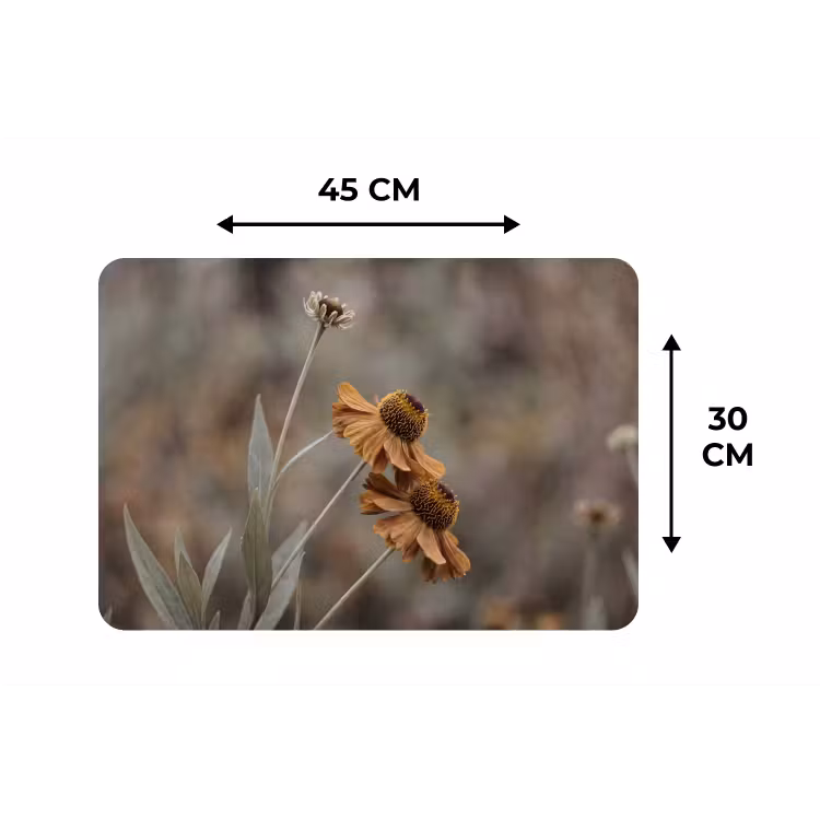 Placemat - 6 stuks - Zonnehoed - Droogbloemen - Geel - Warm — 3