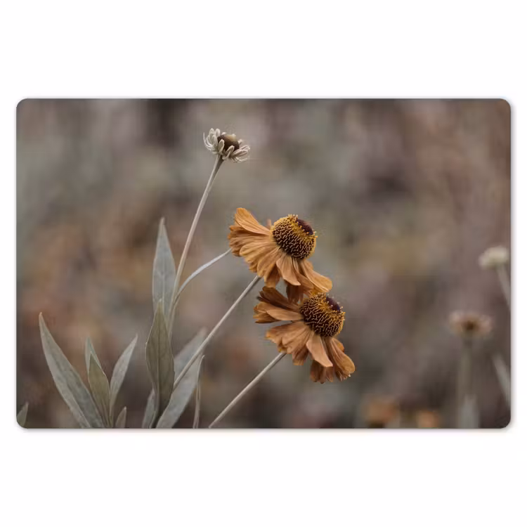 Placemat - 6 stuks - Zonnehoed - Droogbloemen - Geel - Warm — 7
