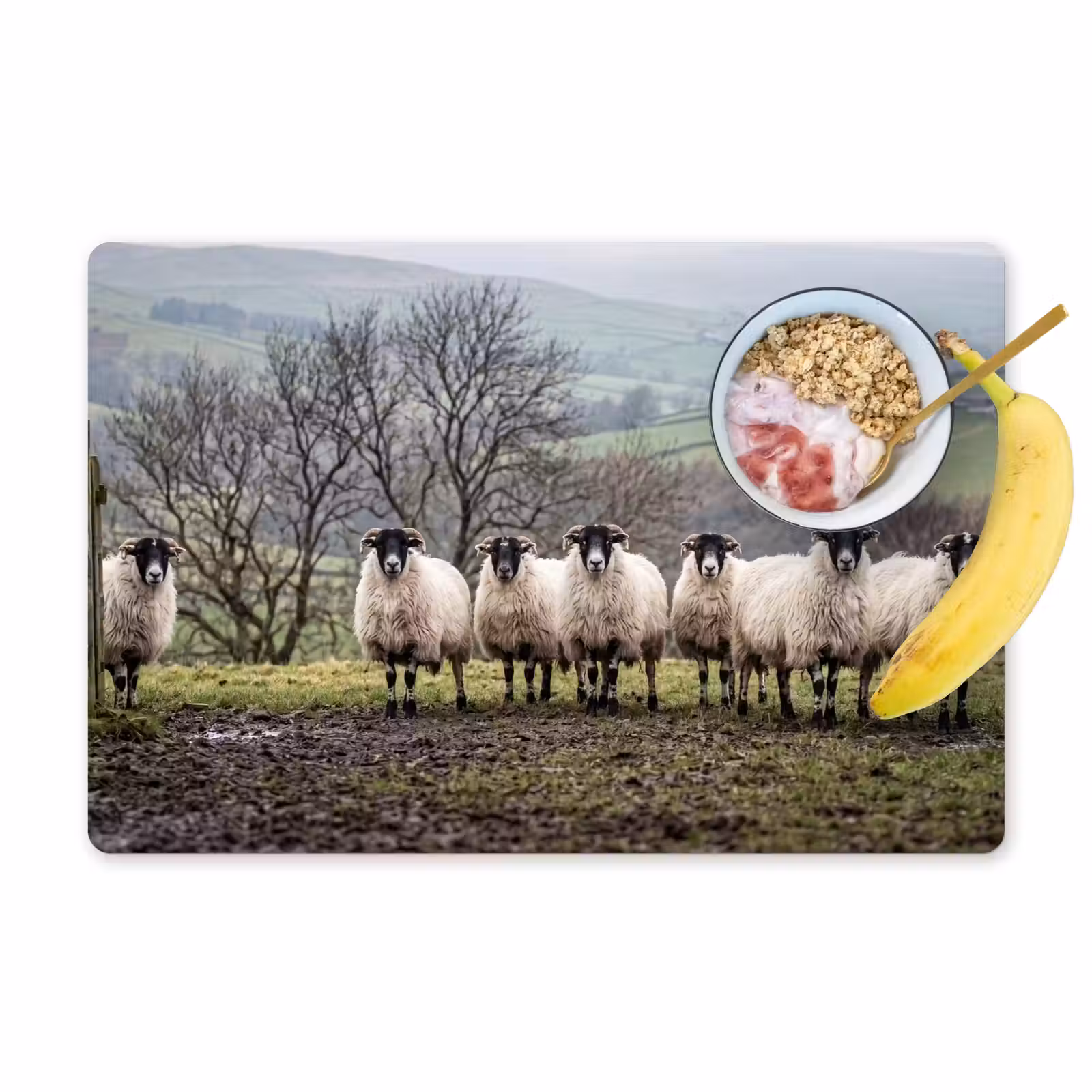 Placemat - 6 stuks - Schapen - Rij - Weide - Dieren - Platteland — 1