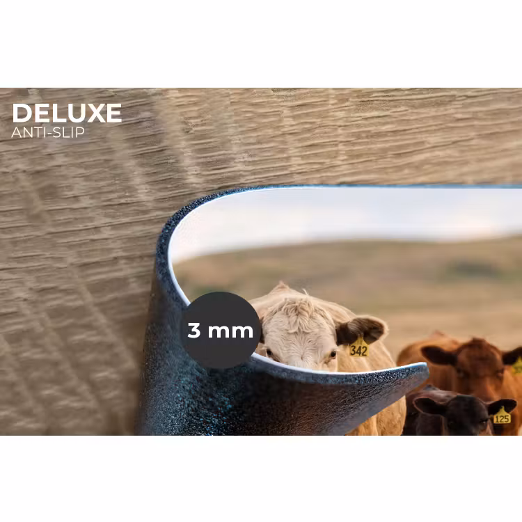 Placemat - 6 stuks - Runderen - Kudde - Landschap - Weide - Rustig — 4