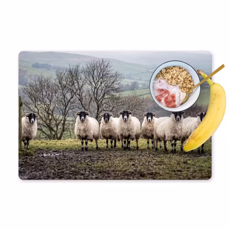 Placemat - 6 stuks - Schapen - Rij - Weide - Dieren - Platteland