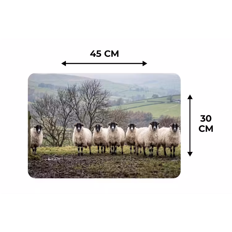 Placemat - 6 stuks - Schapen - Rij - Weide - Dieren - Platteland — 3