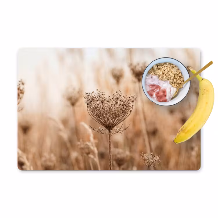 Placemat - 6 stuks - Schermbloem - Droogbloem - Winter - Beige - Minimalistisch