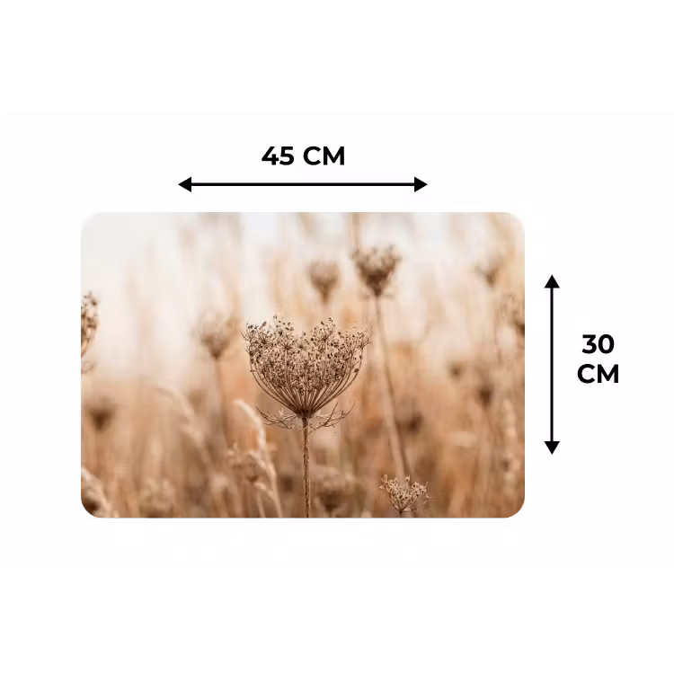 Placemat - 6 stuks - Schermbloem - Droogbloem - Winter - Beige - Minimalistisch — 3