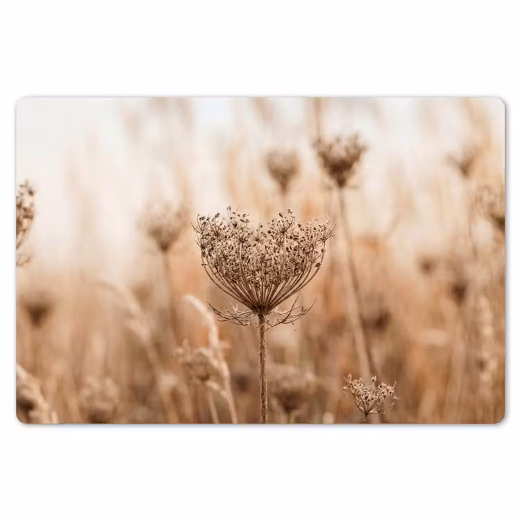 Placemat - 6 stuks - Schermbloem - Droogbloem - Winter - Beige - Minimalistisch — 7