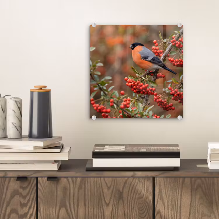Glas schilderij - Goudvink - Bessen - Herfst - Natuur - Kleurrijk — 2