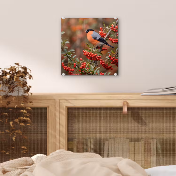 Glas schilderij - Goudvink - Bessen - Herfst - Natuur - Kleurrijk — 5