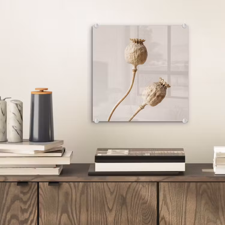 Glas schilderij - Papaverbollen - Droogbloemen - Minimalistisch - Beige - Rustig — 2