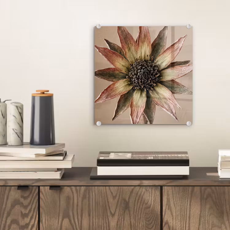 Glas schilderij - Droogbloem - Protea - Vintage - Beige - Rustiek — 2