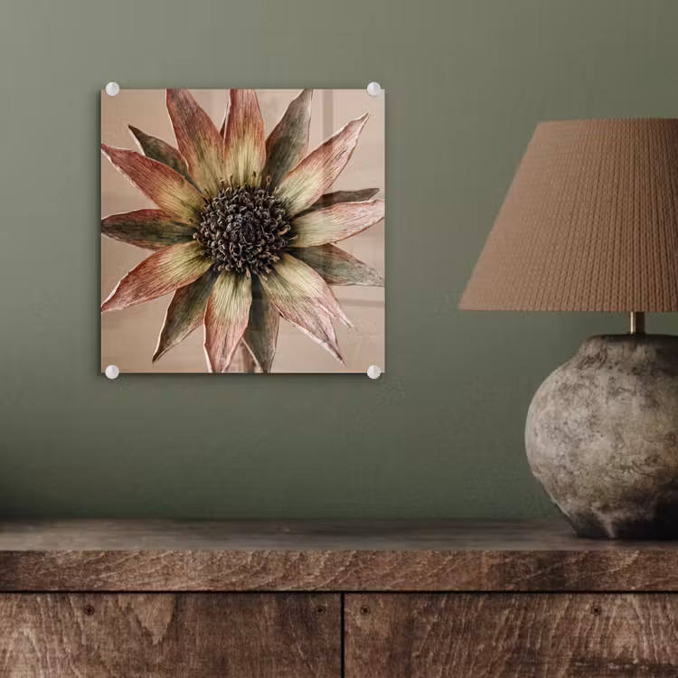Glas schilderij - Droogbloem - Protea - Vintage - Beige - Rustiek — 4