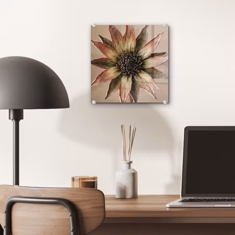 Glas schilderij - Droogbloem - Protea - Vintage - Beige - Rustiek — 7