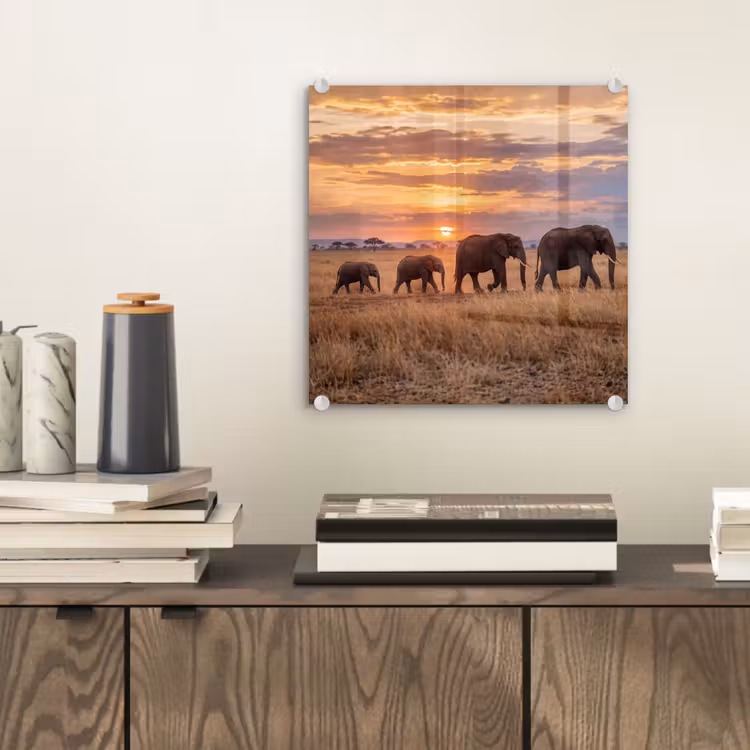 Glas schilderij - Olifanten - Savanne - Zonsondergang - Afrika - Warm — 2