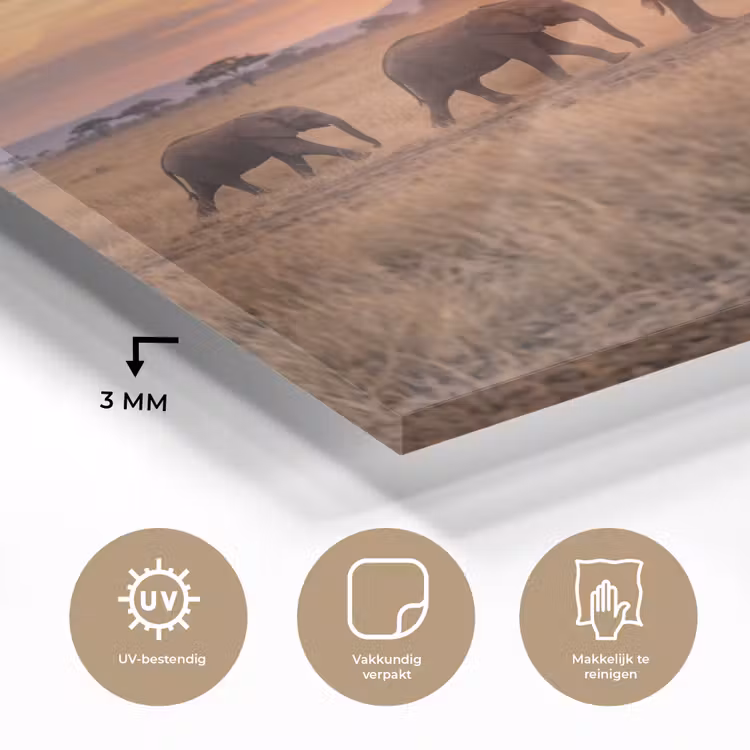 Glas schilderij - Olifanten - Savanne - Zonsondergang - Afrika - Warm — 3