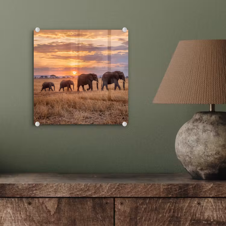 Glas schilderij - Olifanten - Savanne - Zonsondergang - Afrika - Warm — 4