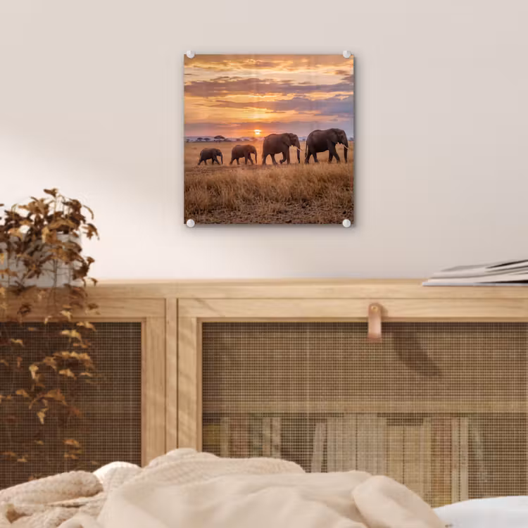 Glas schilderij - Olifanten - Savanne - Zonsondergang - Afrika - Warm — 5