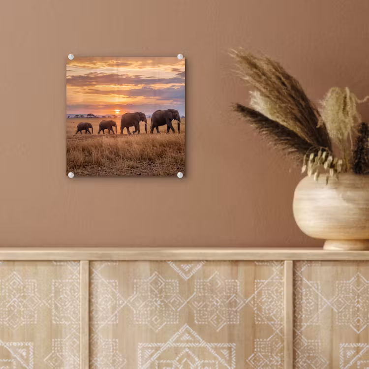 Glas schilderij - Olifanten - Savanne - Zonsondergang - Afrika - Warm — 6