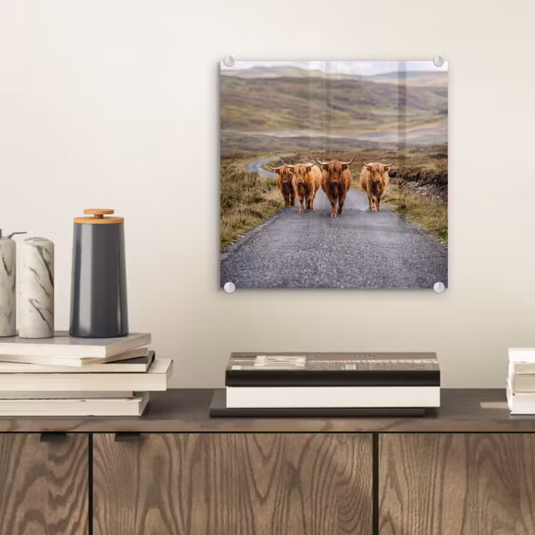 Glas schilderij - Schotse Hooglanders - Weg - Landschap - Kudde — 2