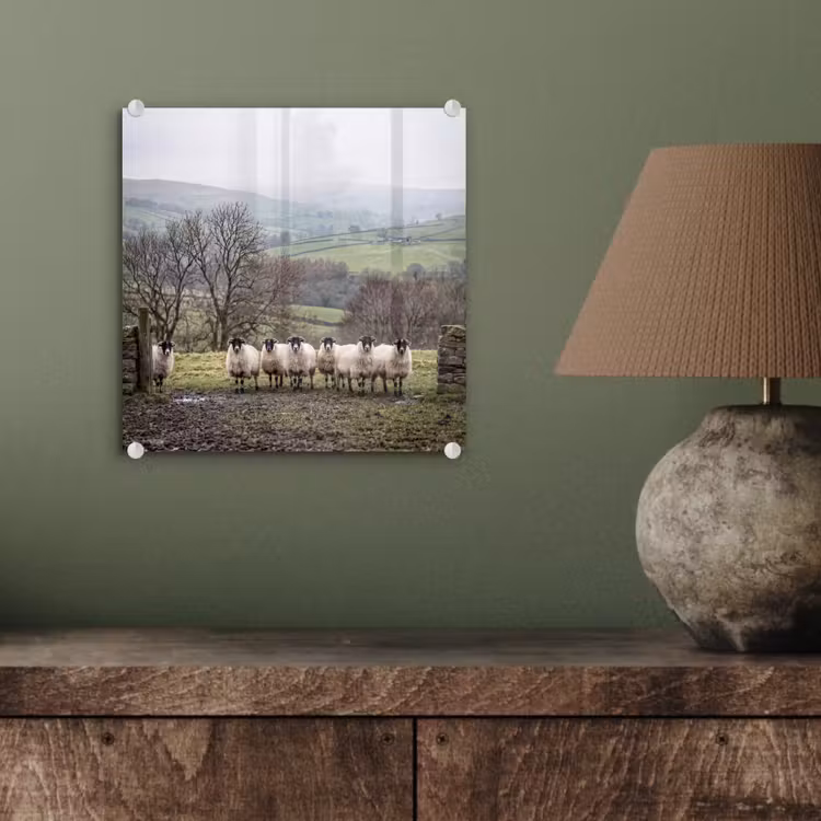 Glas schilderij - Schapen - Rij - Weide - Dieren - Platteland — 4