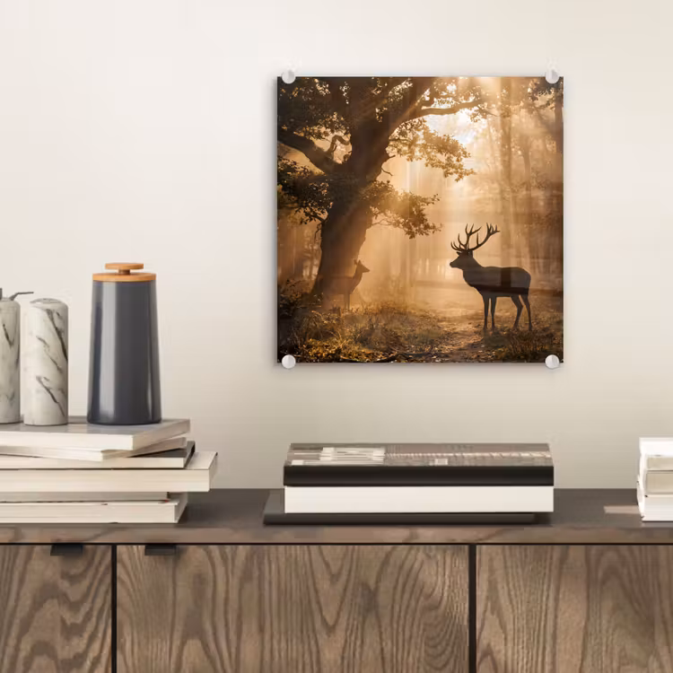 Glas schilderij - Hert - Bos - Mistig - Natuur - Goud — 2
