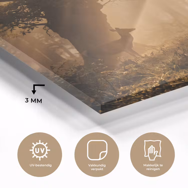 Glas schilderij - Hert - Bos - Mistig - Natuur - Goud — 3