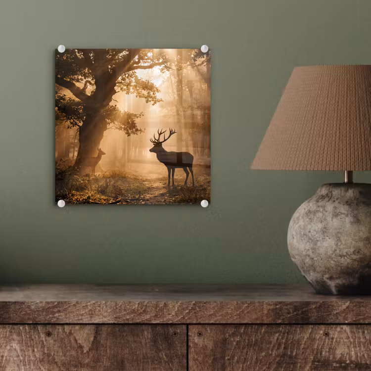 Glas schilderij - Hert - Bos - Mistig - Natuur - Goud — 4