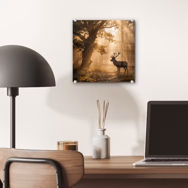 Glas schilderij - Hert - Bos - Mistig - Natuur - Goud — 7