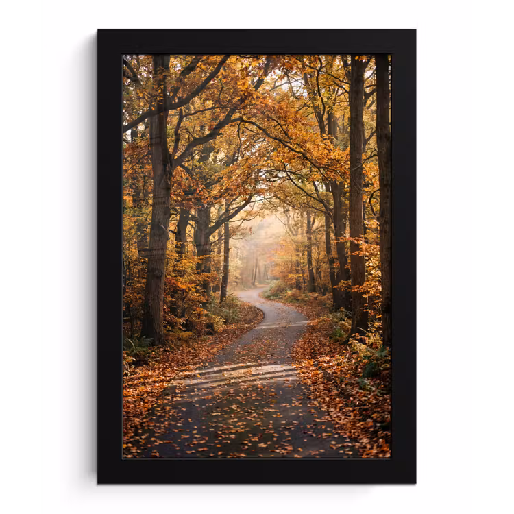 Poster met lijst - Bospad - Herfstbos - Bladeren - Oranje - Nostalgisch