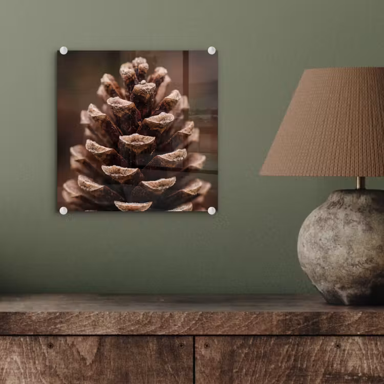 Glas schilderij - Dennenappel - Bos - Herfst - Bruin - Sfeervol — 4