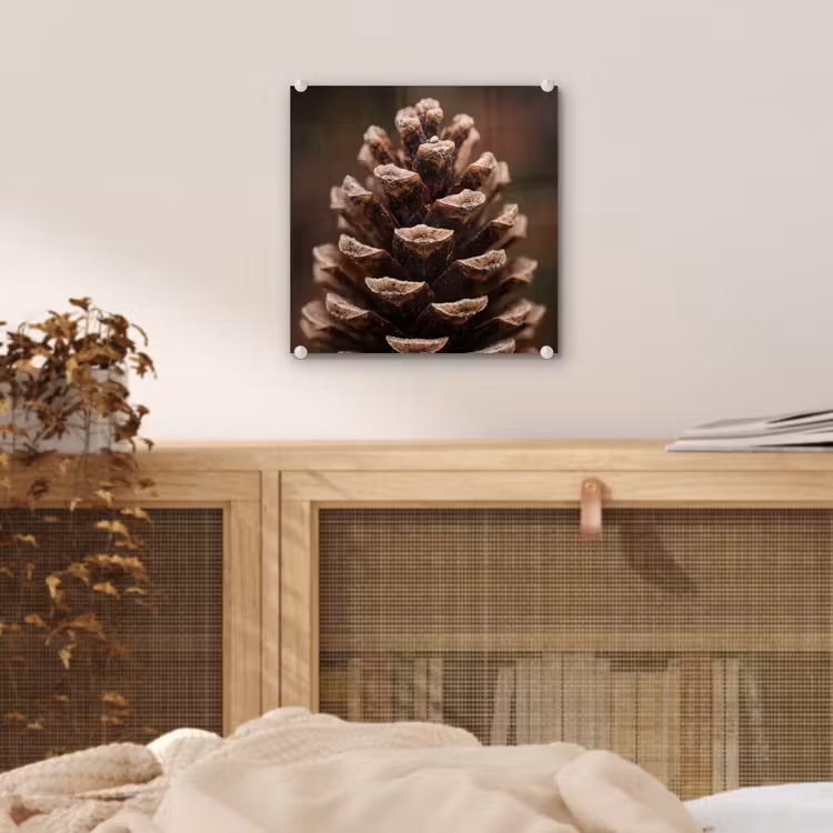 Glas schilderij - Dennenappel - Bos - Herfst - Bruin - Sfeervol — 5