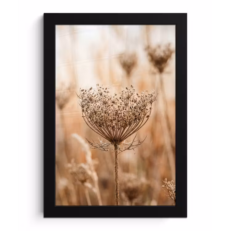 Poster met lijst - Schermbloem - Droogbloem - Winter - Beige - Minimalistisch