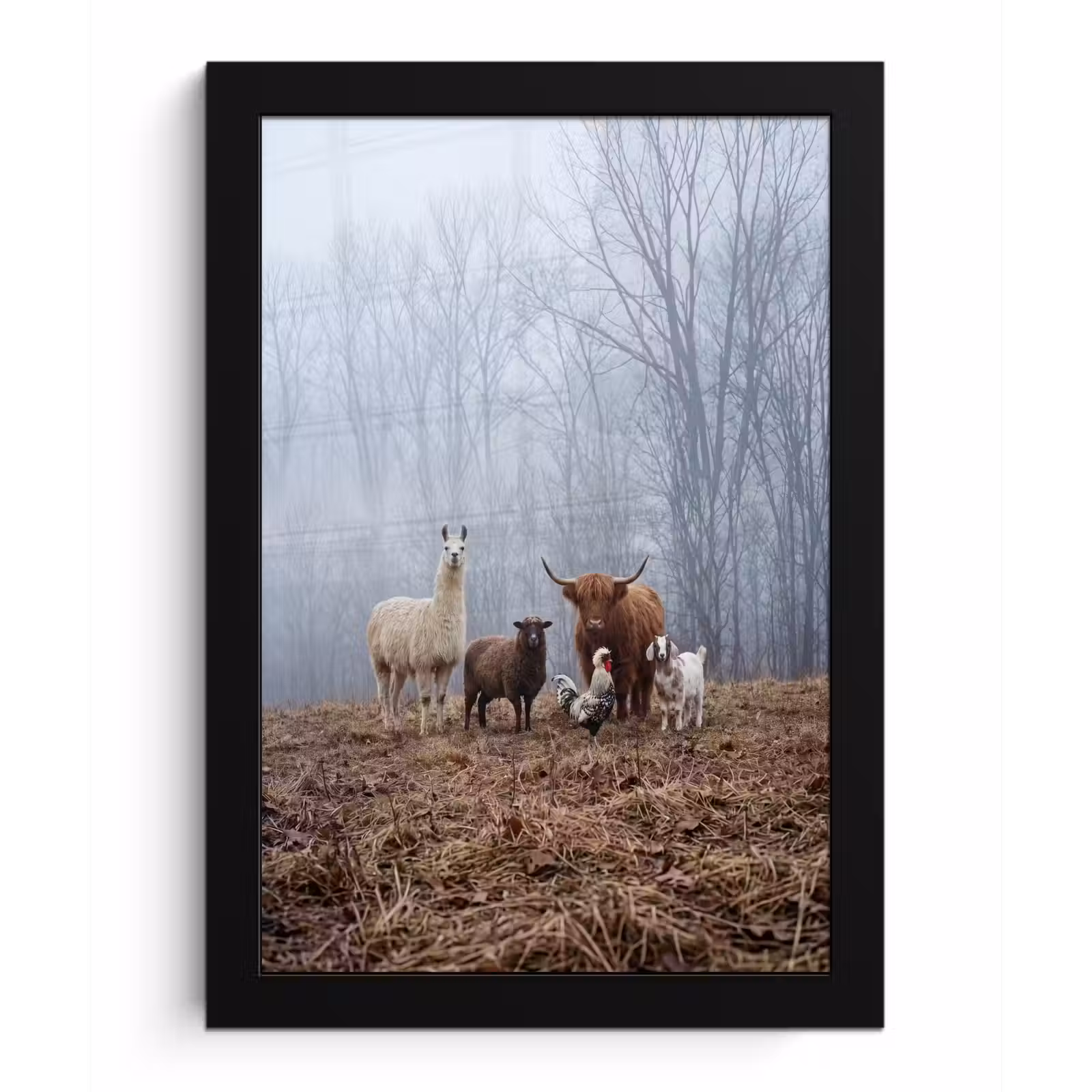 Poster met lijst - Boerderijdieren - Groep - Mist - Natuur - Rustiek — 1