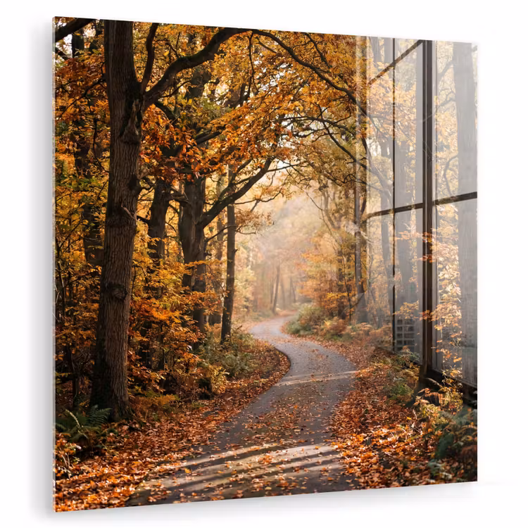 Glas schilderij - Bospad - Herfstbos - Bladeren - Oranje - Nostalgisch