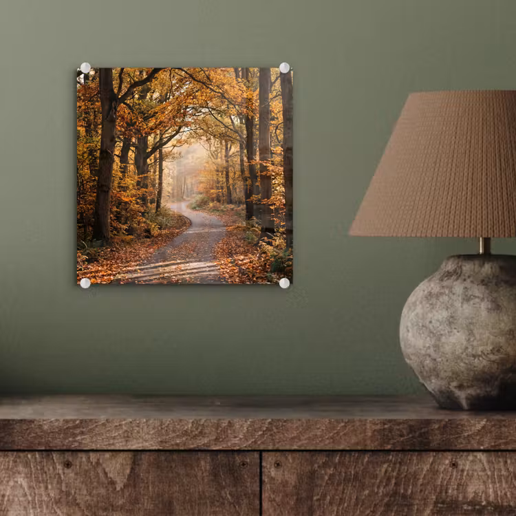 Glas schilderij - Bospad - Herfstbos - Bladeren - Oranje - Nostalgisch — 4