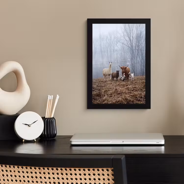 Poster met lijst - Boerderijdieren - Groep - Mist - Natuur - Rustiek — 2